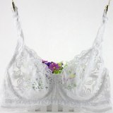 Sexy Lace Wireless Back Closure Bra Women Sexy Lingerie Adjusted Push Up Bra Comfort Breathable Backless Bralette Bh B Cup