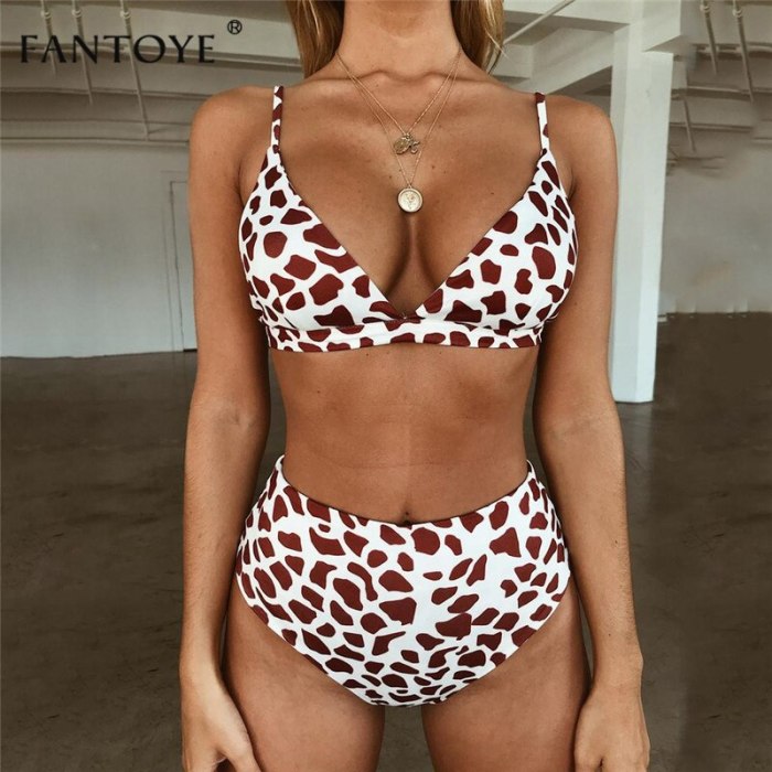 Fantoye Sexy Snake Print Bikini Women Swimwear 2019 Female Two-pieces Bikinis Sets Lady Buquini Plus Size Swimming Bathing Suit