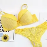 VS secret thong bra set lingerie Push Up French lace sexy women underwear sets Bra and Panty ABCD cup Free Shipping sutia T2480#