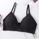 Sexy Push Up Bras For Women Padded Bra Comfort Wireless Brassiere Bralette Cotton Padded Underwear Female Sexy Lingerie