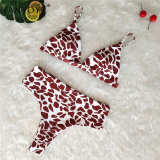 Fantoye Sexy Snake Print Bikini Women Swimwear 2019 Female Two-pieces Bikinis Sets Lady Buquini Plus Size Swimming Bathing Suit