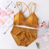 Beauty Back Sexy Women's Underwear Set Transparent Lace Push-up Bra and Panty Sets Female Brassiere Embroidery Lingerie Set