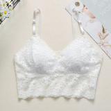 Women Sexy Lingerie Lace Bra Hollow Bralette Backless Crop Top Padded Camis Bra Brassiere Female Intimates Soft Underwear
