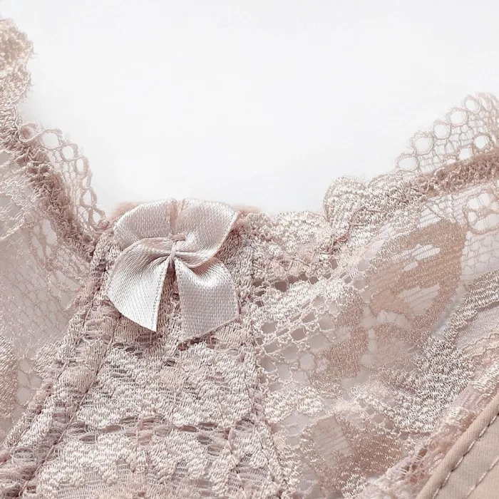 New Lace Perspective Bra Women Sexy Lingerie Underwire Embroidery Floral Bralette Plus Size C D E 80 85 90 95 100 105