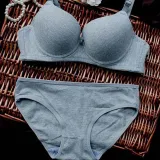 New Sexy High Quality Women Solid Color Bra set Silk Lace Flower Push up Big size Underwear Bra and Hollow out Panties