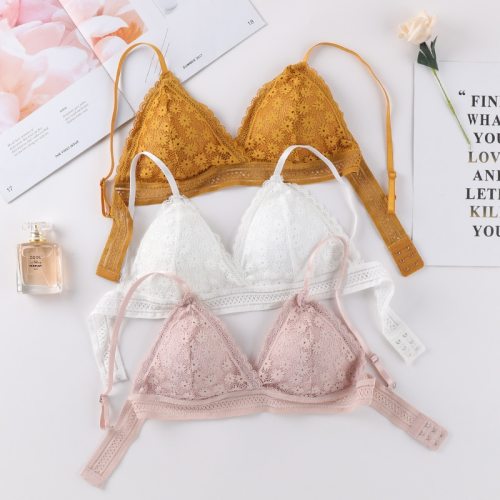 Lace Bra Sexy Women Push Up Lingerie Thin Brassiere Wireless Underwear Sexy Bras For Women French Triangle Bralette