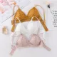 Lace Bra Sexy Women Push Up Lingerie Thin Brassiere Wireless Underwear Sexy Bras For Women French Triangle Bralette