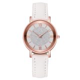 Dial Watches for Women Fashion Roman Scale Rhinestone Leather Ladies Quartz Watch Female Wrist Watch