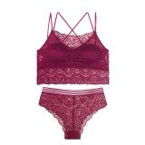 Transparent Lace Bra and Panty Set Women Sexy Lingerie Intimates Ladies Underwear Set Fashion Bra & Brief Sets Solid Color