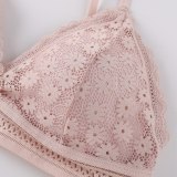 Lace Bra Sexy Women Push Up Lingerie Thin Brassiere Wireless Underwear Sexy Bras For Women French Triangle Bralette