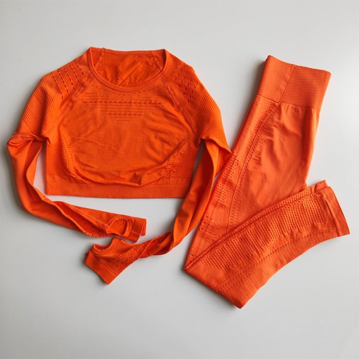 Women Seamless Gym Sets High Waist Gym Mesh Leggings Shirts Suit Long Sleeve Fitness Workout Sports Running Thin Sport Sets