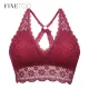 FINETOO Sexy Bralette Padded Bras For Women Transparent Wireless Bra Lace Intimates Lace Bralette Backless Brassiere Crop Tops