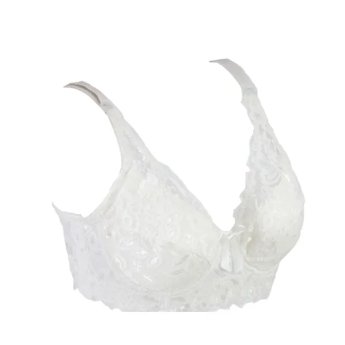2020 Sexy Full Lace Women's Bras Push Up Coverage Flower Adjustable  Intimates Bowknot Underwear Plus Size