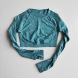 Women Seamless Gym Sets High Waist Gym Mesh Leggings Shirts Suit Long Sleeve Fitness Workout Sports Running Thin Sport Sets