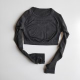 Women Seamless Gym Sets High Waist Gym Mesh Leggings Shirts Suit Long Sleeve Fitness Workout Sports Running Thin Sport Sets
