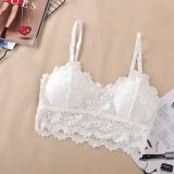 Sexy Bra Women Lace Bralette Sexy Lingerie Underwear Wireless Padded Seamless Bra Ultra Strap Padded Bras for Women