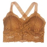 Women Sexy Lingerie Lace Bra Hollow Bralette Backless Crop Top Padded Camis Bra Brassiere Female Intimates Soft Underwear