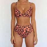 Fantoye Sexy Snake Print Bikini Women Swimwear 2019 Female Two-pieces Bikinis Sets Lady Buquini Plus Size Swimming Bathing Suit