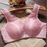 fashion thick cup sexy beauty push up bras lace back closure bralette lingerie bra for women Brassiere