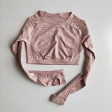 Women Seamless Gym Sets High Waist Gym Mesh Leggings Shirts Suit Long Sleeve Fitness Workout Sports Running Thin Sport Sets