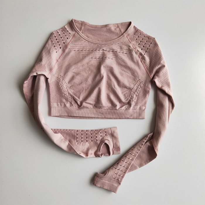 Women Seamless Gym Sets High Waist Gym Mesh Leggings Shirts Suit Long Sleeve Fitness Workout Sports Running Thin Sport Sets