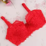 full lace push up bra for women back button fashion sexy women underwear brassiere Gather Thin Sponge modis bralette lingerie