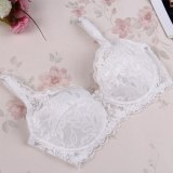 full lace push up bra for women back button fashion sexy women underwear brassiere Gather Thin Sponge modis bralette lingerie