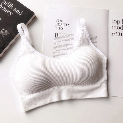 Seamless Vest Bra Tops Slim New Crop Top Without Steel Ring Ladies Slim Vest Top