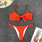 2020 Sexy Blue Bow Polka Dot Bikini Women Swimwear Female Swimsuit Two-piece Bikini set Brazilian Bather Bathing Suit Swim V1672