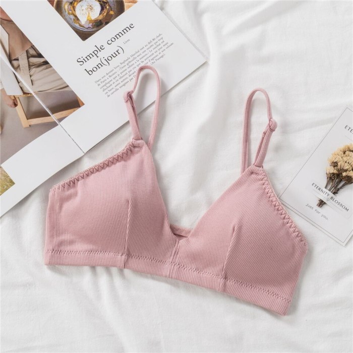 French Style Bralette Lace Bra Girls Triangle Cup Lingerie Deep V Wireless Underwear Soft Thin Seamless Bra