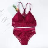 Transparent Lace Bra and Panty Set Women Sexy Lingerie Intimates Ladies Underwear Set Fashion Bra & Brief Sets Solid Color