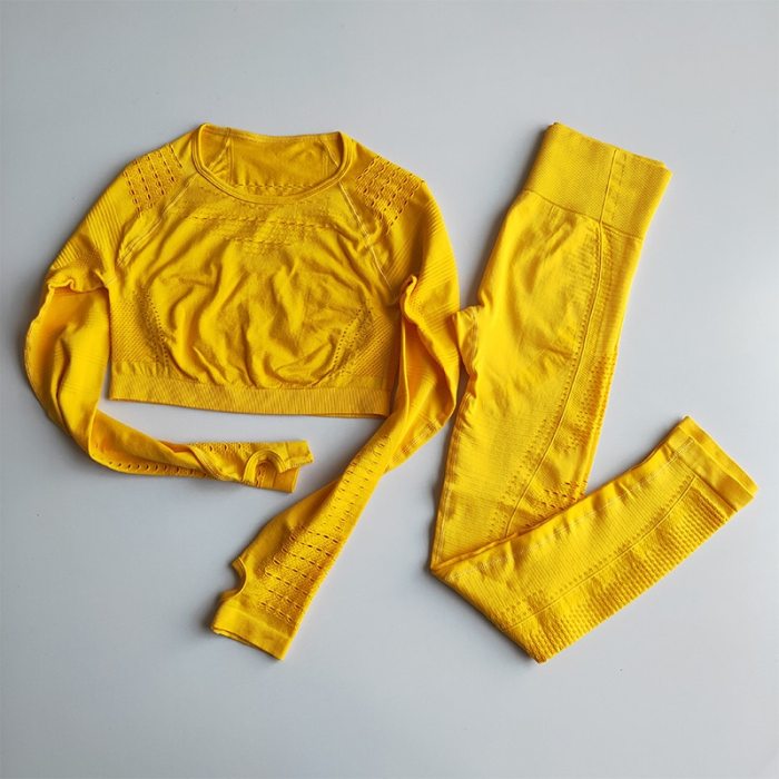 Women Seamless Gym Sets High Waist Gym Mesh Leggings Shirts Suit Long Sleeve Fitness Workout Sports Running Thin Sport Sets