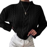 Knitted Turtleneck Sweater Women Autumn Ladies Solid Pullover Sweater Korean Style Female Long Sleeve Knit Jumpers Femme