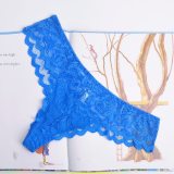Sexy Ladies Cotton Mesh Transparent Panties Thongs String lingerie Fashion Low-Rise Women Underwear Seamless Briefs 1pcs afq9082