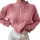 Knitted Turtleneck Sweater Women Autumn Ladies Solid Pullover Sweater Korean Style Female Long Sleeve Knit Jumpers Femme