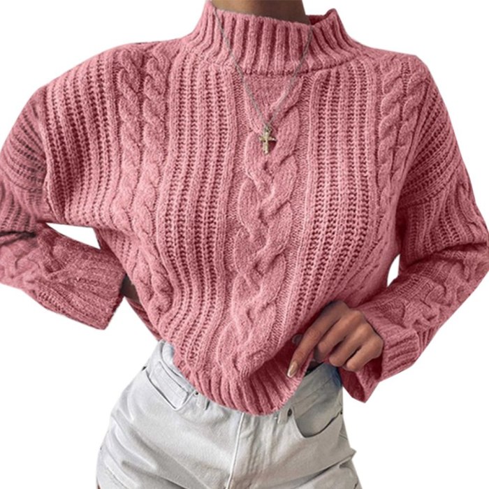 Knitted Turtleneck Sweater Women Autumn Ladies Solid Pullover Sweater Korean Style Female Long Sleeve Knit Jumpers Femme