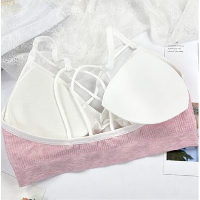 Seamless Active Bra  Set Fashion Bra Briefs Set For Women Lingerie Push Up Bralette With Pads Free Siz Sports Underwear Set