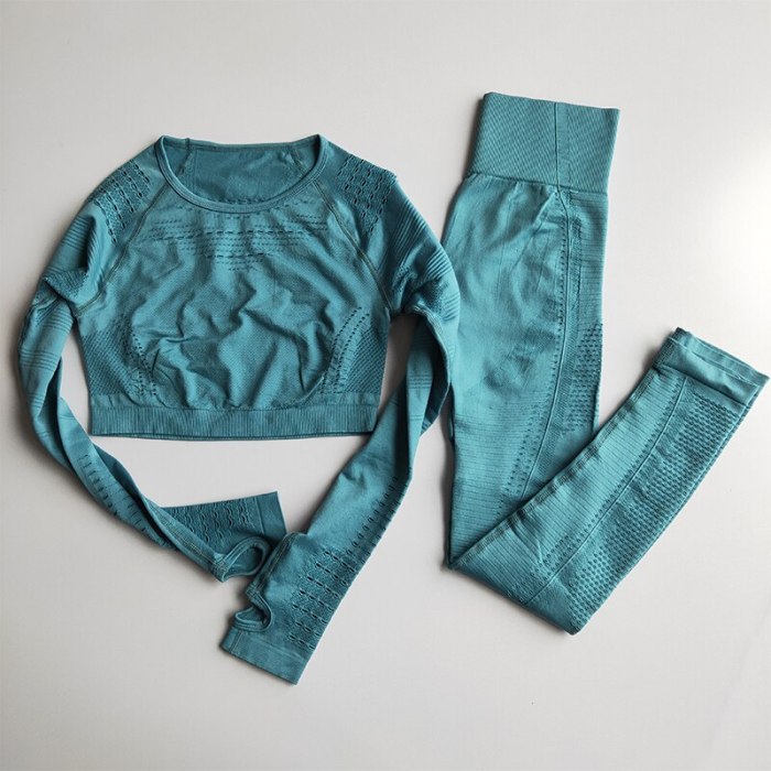 Women Seamless Gym Sets High Waist Gym Mesh Leggings Shirts Suit Long Sleeve Fitness Workout Sports Running Thin Sport Sets