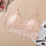 Sexy Bra Women Lace Bralette Sexy Lingerie Underwear Wireless Padded Seamless Bra Ultra Strap Padded Bras for Women
