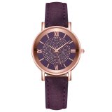 Dial Watches for Women Fashion Roman Scale Rhinestone Leather Ladies Quartz Watch Female Wrist Watch