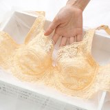 Sexy Lace Wireless Back Closure Bra Women Sexy Lingerie Adjusted Push Up Bra Comfort Breathable Backless Bralette Bh B Cup