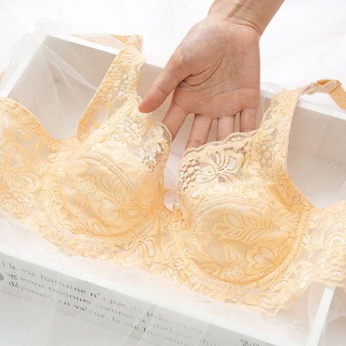 Sexy Lace Wireless Back Closure Bra Women Sexy Lingerie Adjusted Push Up Bra Comfort Breathable Backless Bralette Bh B Cup