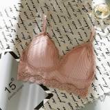 Women Lace Wireless Padded Seamless Bra Sexy Bra Cotton Lingerie Breathable Underwear