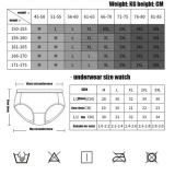 Seamless Panties Women Briefs Nylon Ultra-thin G-string Thongs Low Rise Lingerie Ice Silk Briefs Lady Underwear Plus Size