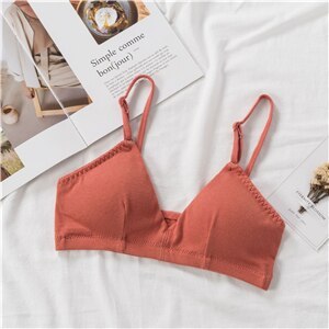 French Style Bralette Lace Bra Girls Triangle Cup Lingerie Deep V Wireless Underwear Soft Thin Seamless Bra